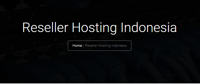 Bisnis Web Hosting yang Menjanjikan Bagi Pebisnis Muda