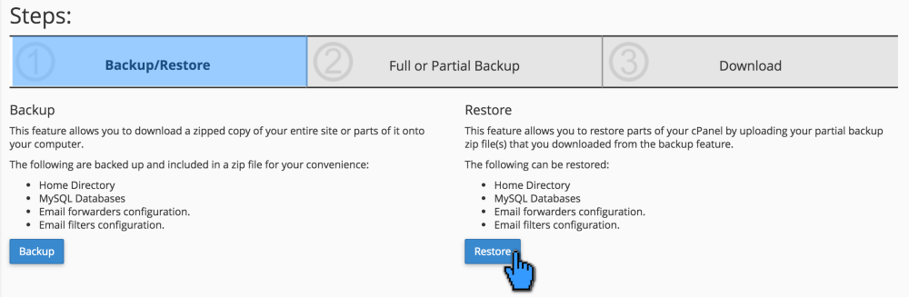 Cara Restore Website Melalui cPanel 3