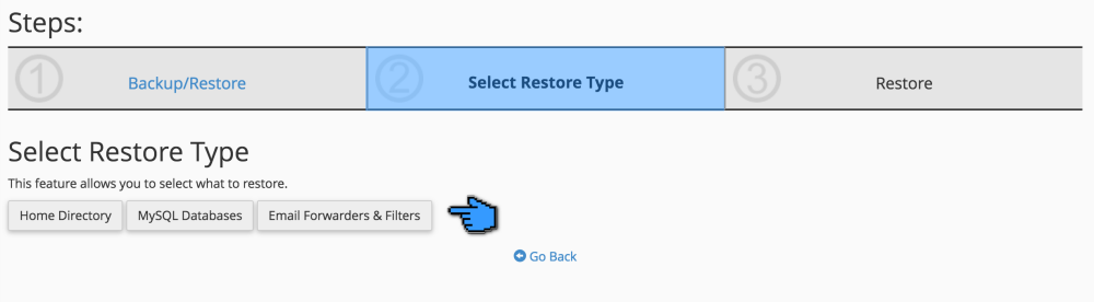 Cara Restore Website Melalui cPanel 4
