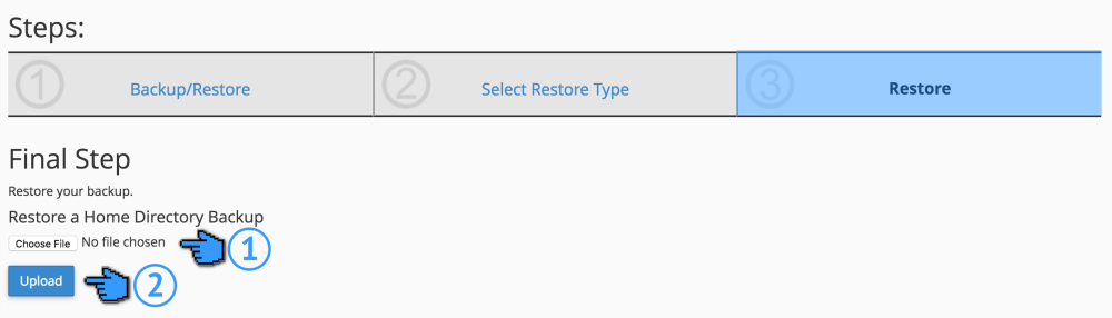 Cara Restore Website Melalui cPanel 5