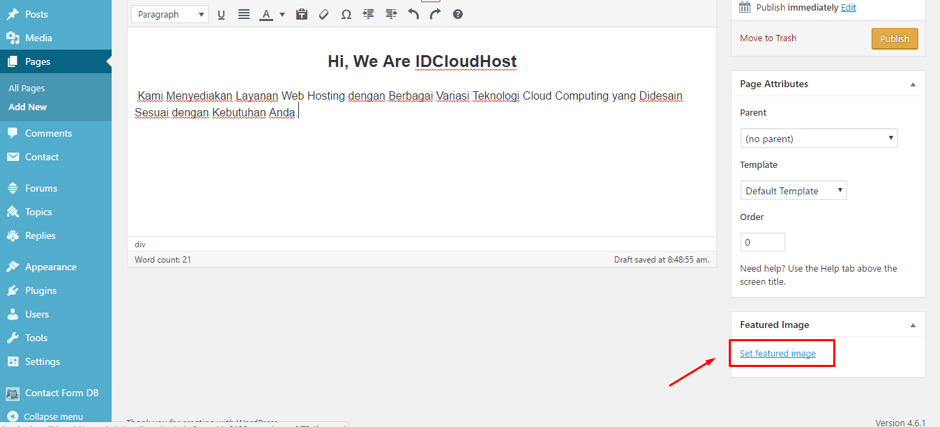 cara-membuat-page-halaman-di-wordpress-8