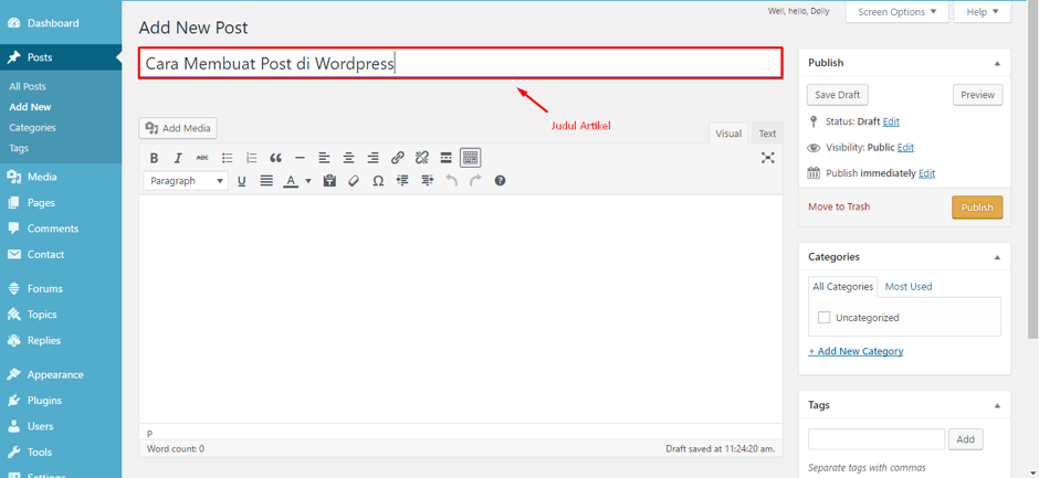 cara-membuat-postingan-di-wordpress-3