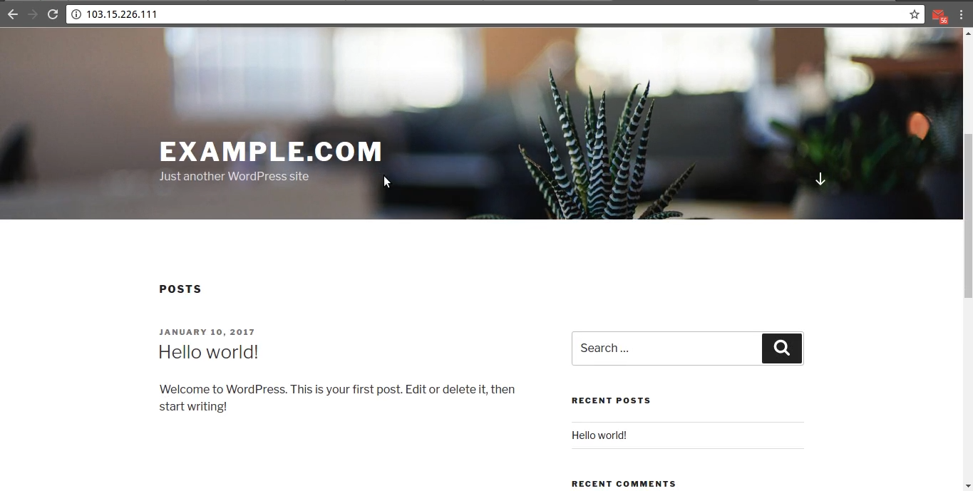 Tutorial Cara Install WordPress di VPS dengan Easyengine