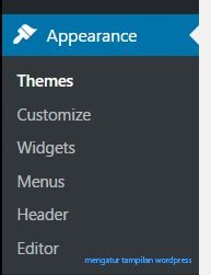 Mengatur Tampilan pada WordPress