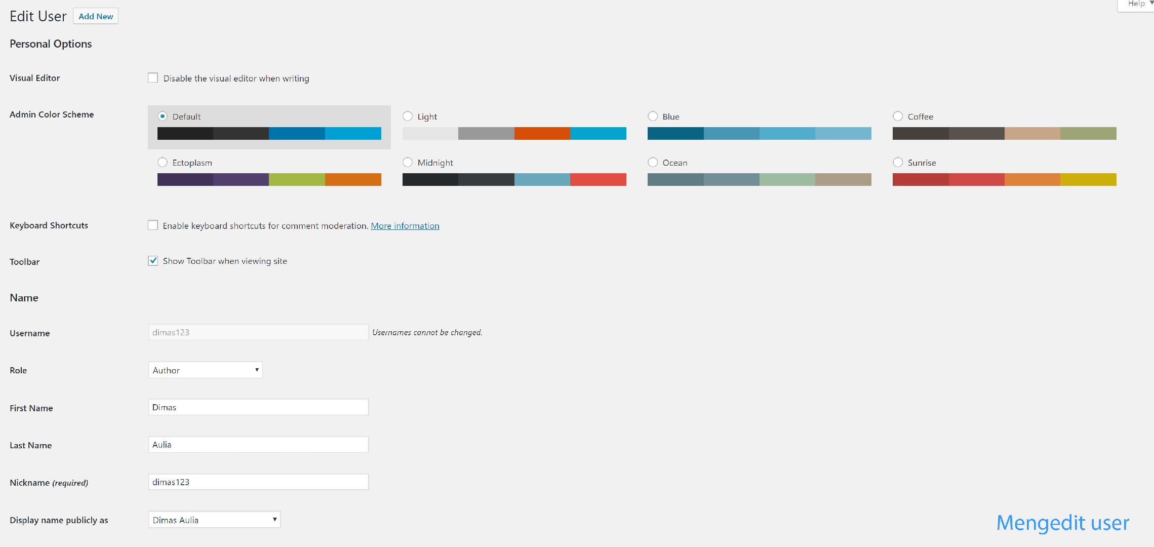 cara mengedit user pada wordpress
