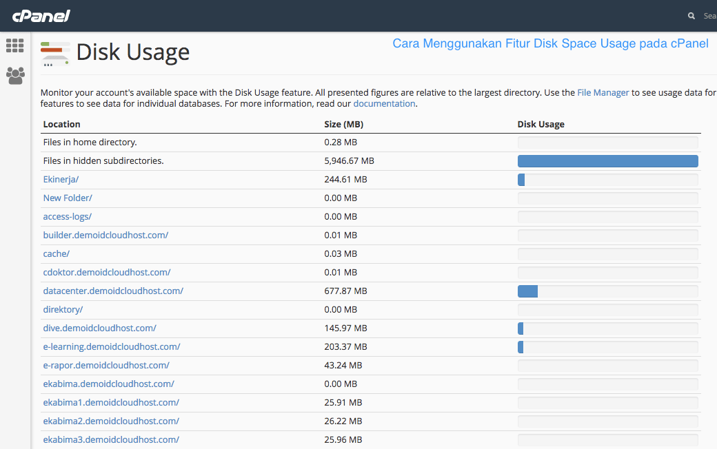Cara Menggunakan Fitur Disk Space Usage pada cPanel