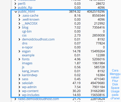 Cara Menggunakan Fitur Disk Space Usage pada cPanel