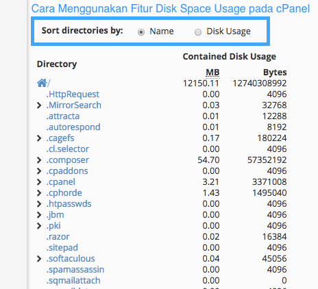 Cara Menggunakan Fitur Disk Space Usage pada cPanel