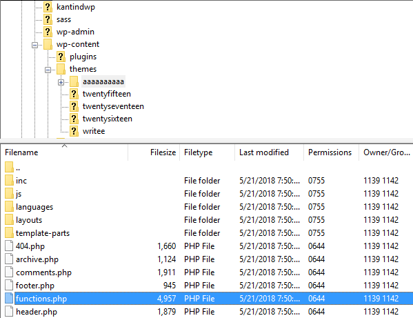 Tutorial Cara Mengedit dan Menggunakan WordPress Functions.php