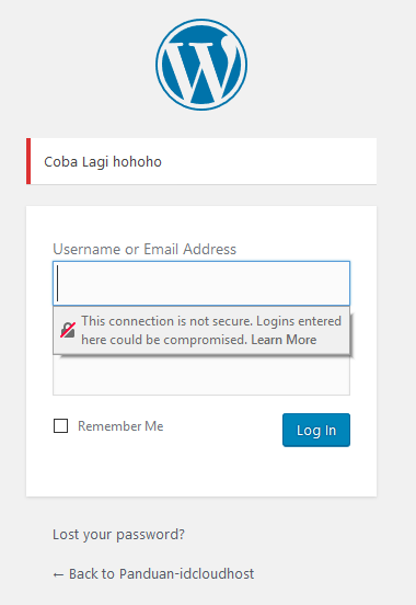 Tutorial Cara Mengedit dan Menggunakan WordPress Functions.php