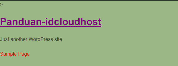 Tutorial Cara Mengedit dan Menggunakan WordPress Functions.php