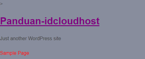 Tutorial Cara Mengedit dan Menggunakan WordPress Functions.php