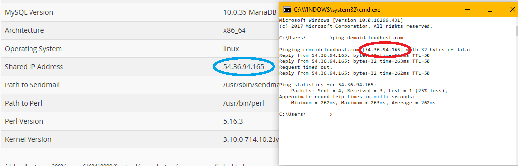 Cara Memeriksa Status Pointing Domain