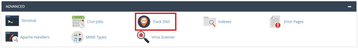 Mengenal Track DNS di cPanel
