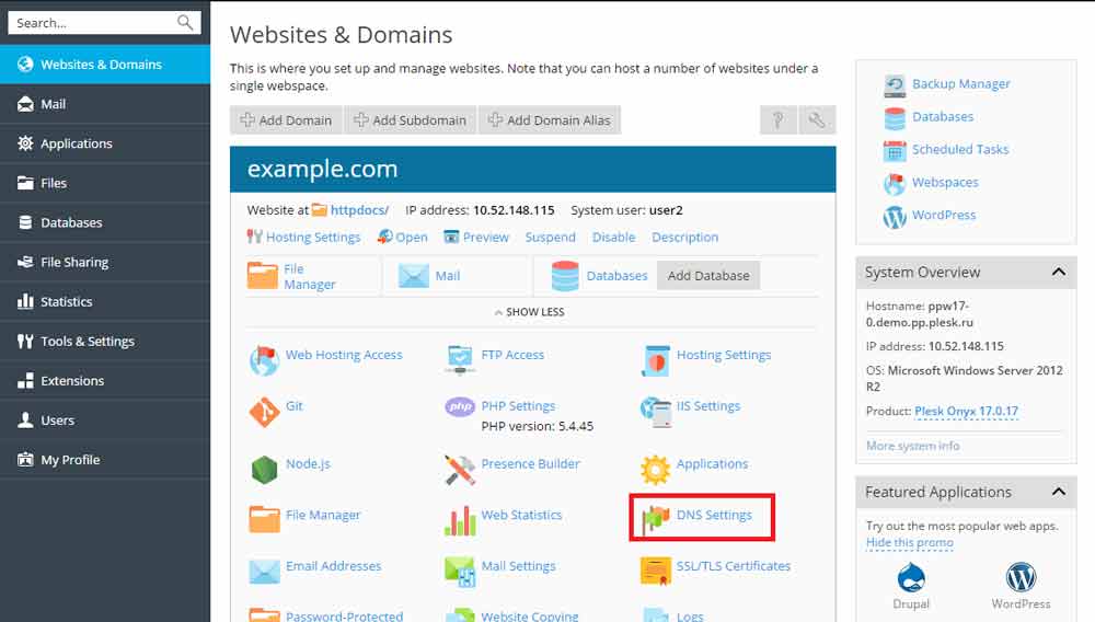 Cara Manage (Menambahkan dan Edit) DNS Record di Plesk Hosting | IDCloudHost
