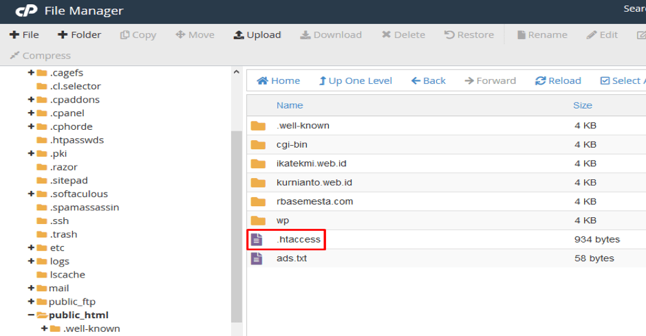 Tutorial Cara Mengatasi 403 Forbidden di WordPress | IDCloudHost