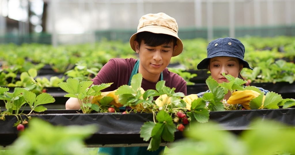 Daftar Peluang Usaha (Bisnis) yang Menjanjikan dan Menguntungkan di Tahun 2020