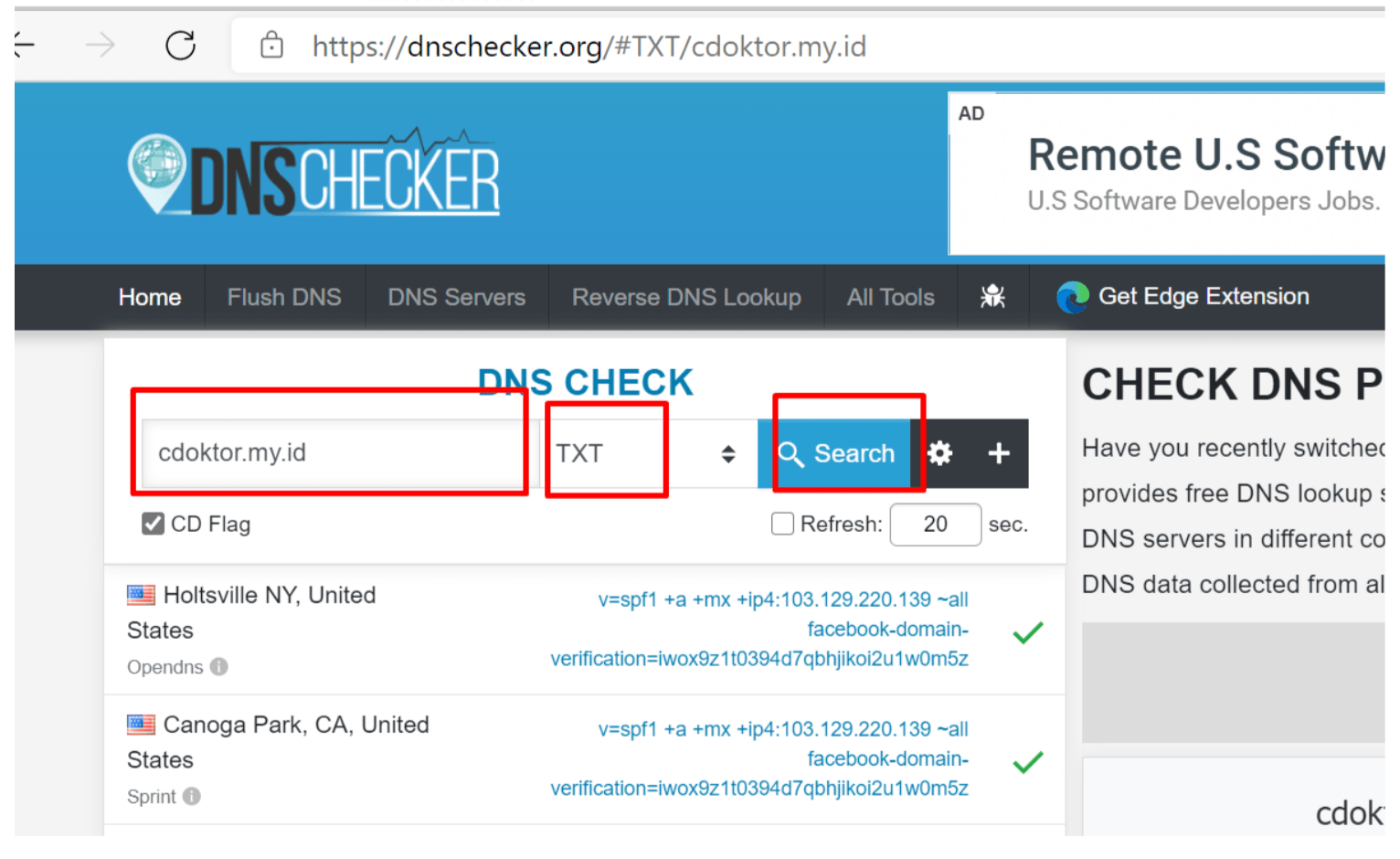 Cara Verifikasi Kepemilikan Domain untuk Facebook Pixel (Facebook Ads) via DNS Record | IDCloudhost