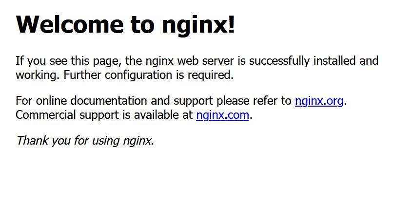 Nginx Berhasil