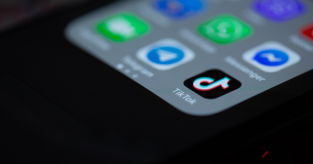 Bagaimana Cara Kerja Project S TikTok?