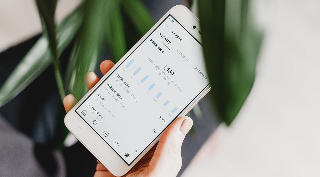 Jenis-Jenis Influencer