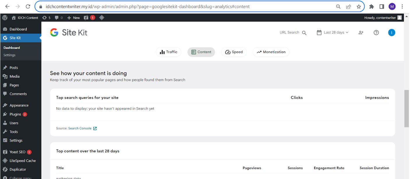 cara melihat traffic website wordpress
