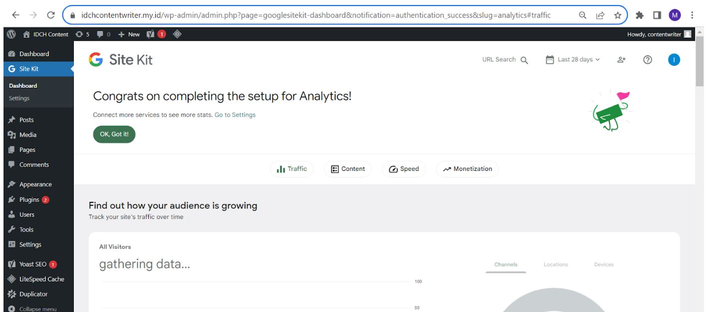 cara melihat traffic website wordpress